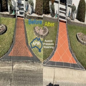 Concrete Path Cleaning | Garden Bed Washing