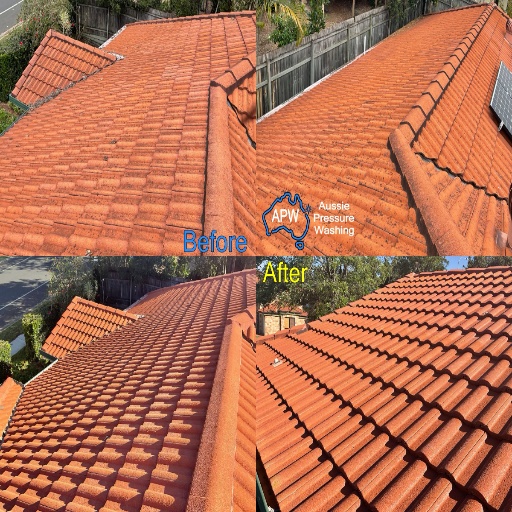 Roof Cleaning Sinnamon Park | Soft Washing Brisbane | Roof Washing 512